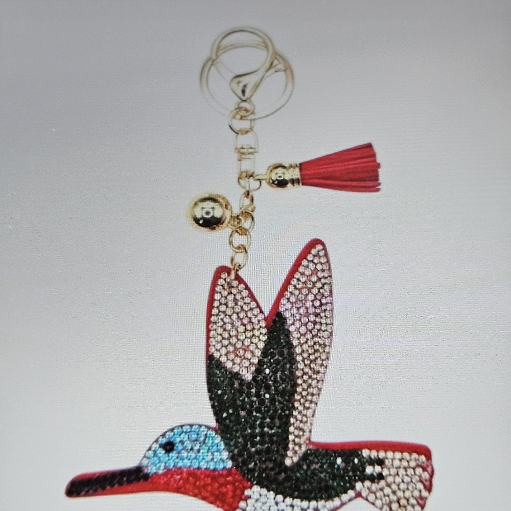 DIVAS LiMiTED Multicolor Hummingbird Key Holder